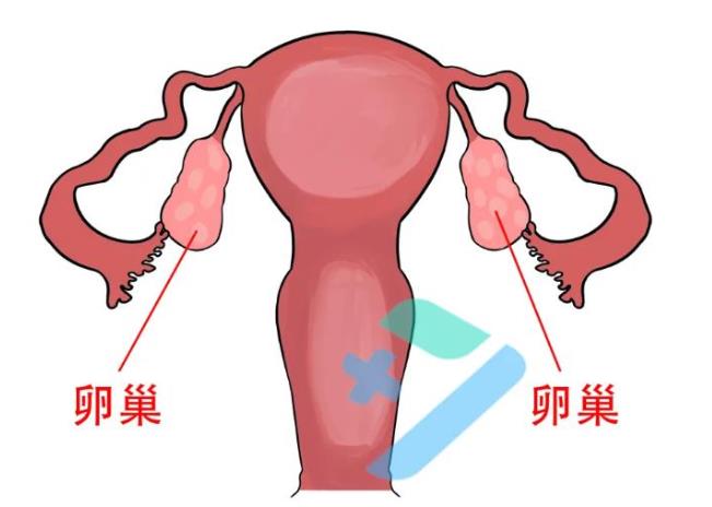 360截图20250328155656689.jpg